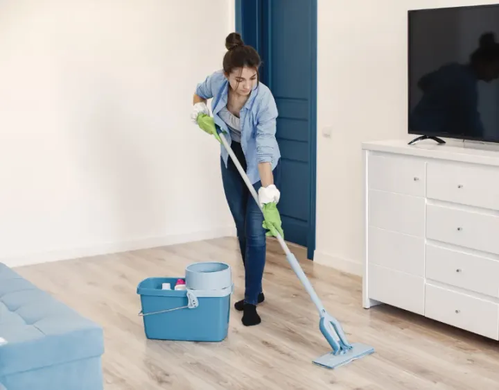Femme de ménage Riboux